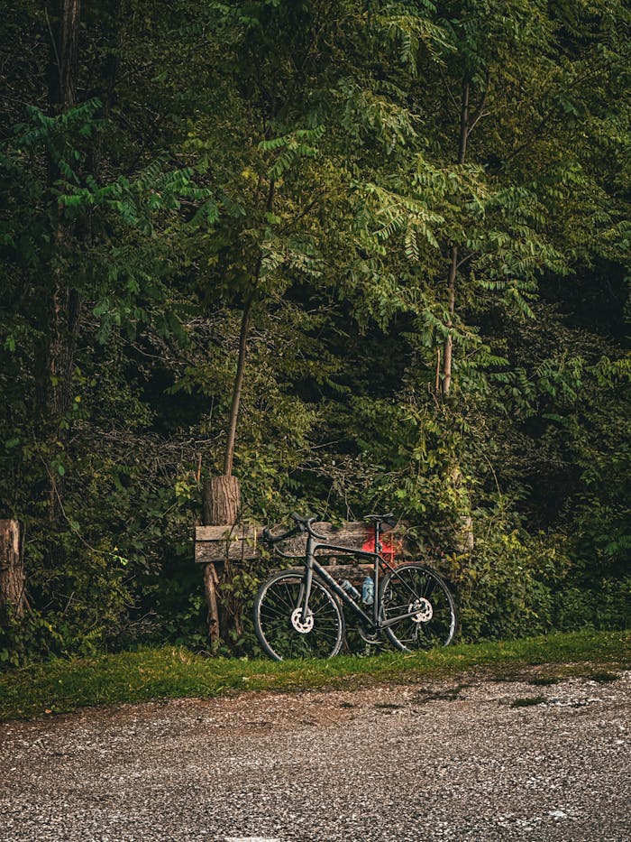 A solitary bicycle parked by a lush forest path on a serene day.